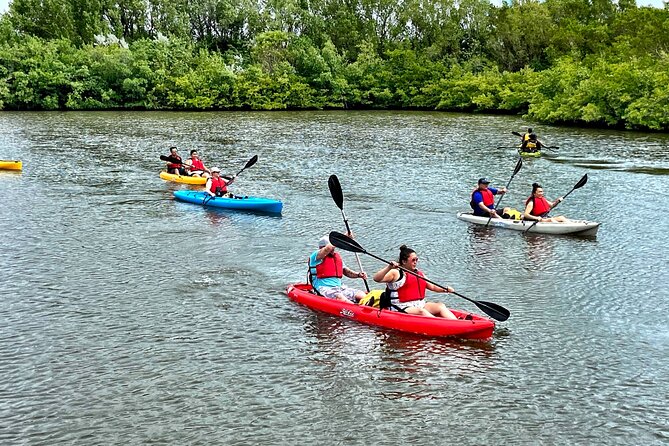 Mangrove Tunnel Kayak Eco Tour - Guided by Master Naturalists