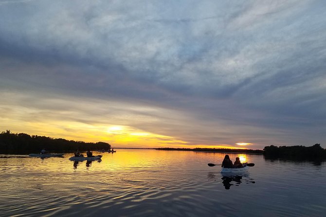 Mangrove Tunnel, Manatee and Dolphin Kayak Tour of Cocoa Beach - Meeting and Pickup