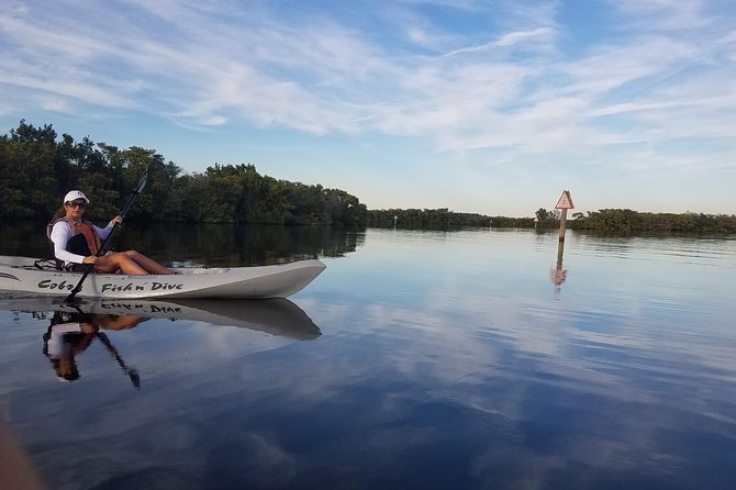 Mangrove Tunnel, Manatee and Dolphin Kayak Tour of Cocoa Beach - Kayaking Equipment and Safety
