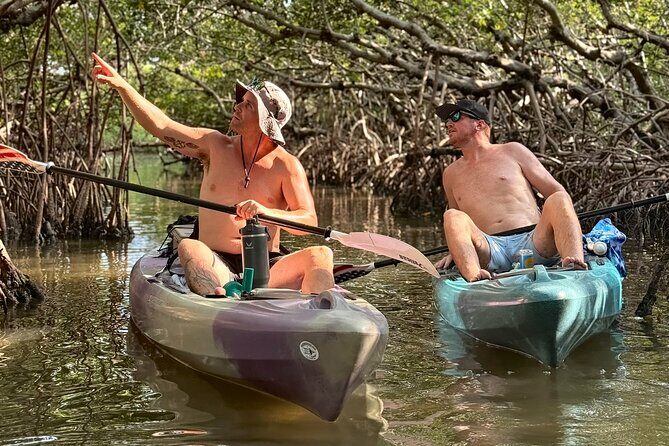 Mangrove Tunnels Kayak Tour To Shell Key - St. Pete - Key Points