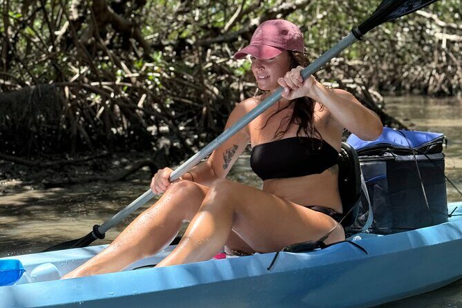 Mangrove Tunnels Kayak Tour To Shell Key - St. Pete - Who Will Love This Tour?