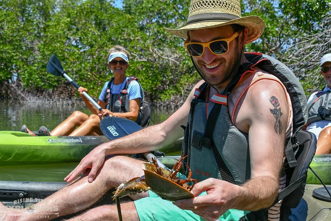 Mangrove Tunnels & Mudflats Kayak Tour - Local Biologist Guides - Wildlife Spotting Opportunities