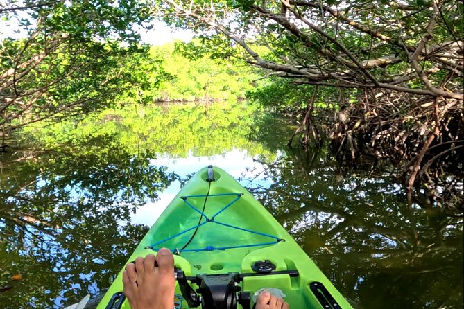 Mangrove Tunnels Pedal Kayak Eco-Tour in Anna Maria - Meeting and Pickup