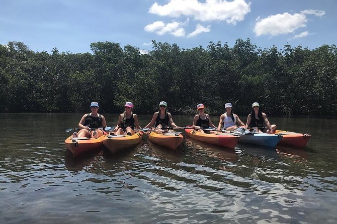 Mangrove Tunnels Pedal Kayak Eco-Tour in Anna Maria - Additional Information
