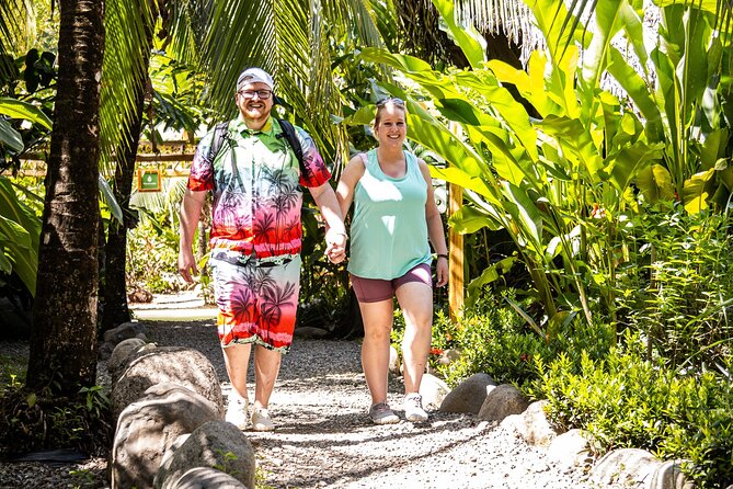 Mangrove Walk - Key Points