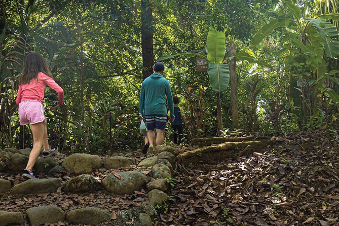 Mangrove Walk - Tour Features