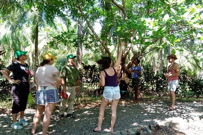 Mangrove Walk - Positive Guest Experiences