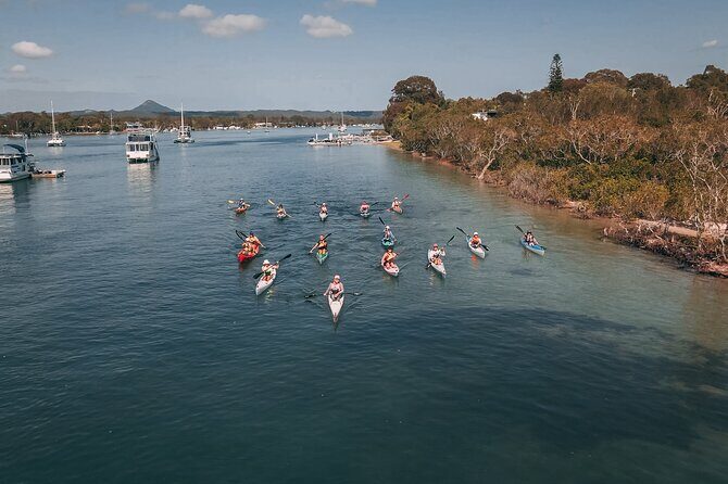 Mangroves and Mansions Guided Kayak Tour on the Noosa River - Exploring the Itinerary in Detail