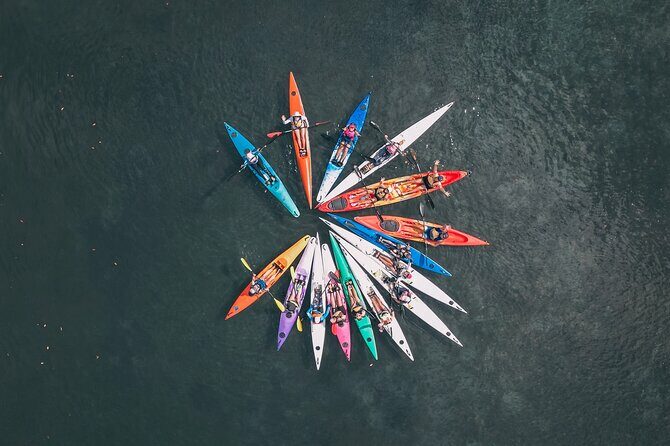Mangroves and Mansions Guided Kayak Tour on the Noosa River - Authentic Experiences and What Travelers Say
