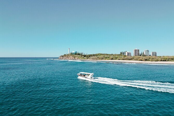 Mangroves and Mansions Guided Kayak Tour on the Noosa River - Final Thoughts: Who Will Love This Tour?