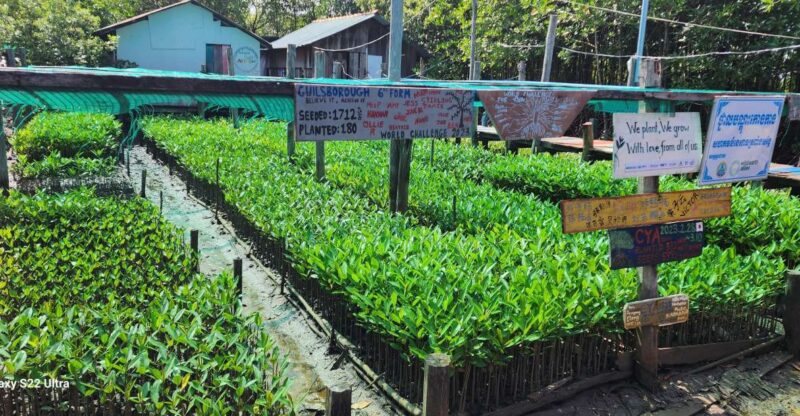 MANGROVES GREEN ESCAPES by Discovery Center, Kep West - Itinerary and Experience