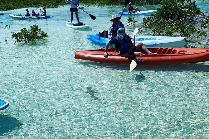 Mangroves Kayak Tour - Wildlife and Ecosystem Exploration