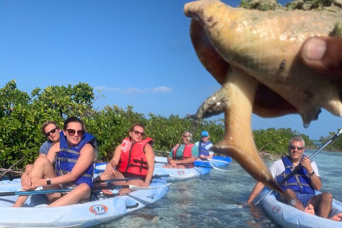 Mangroves Kayak Tour - Customer Feedback and Recommendations