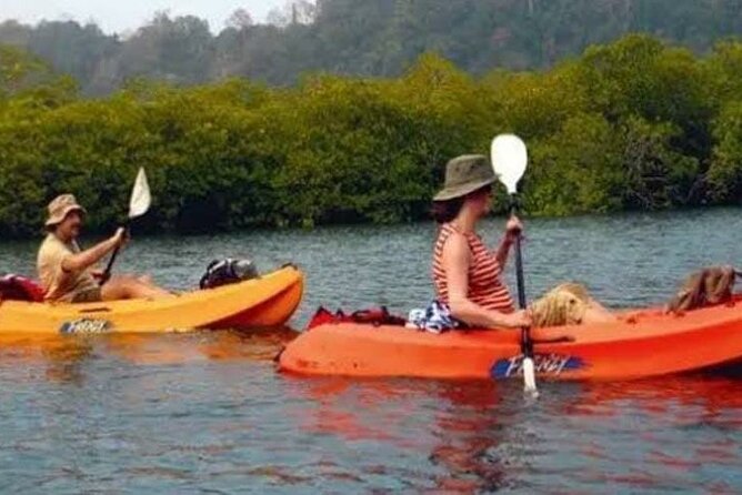 Mangroves Kayaking At Havelock - Health Restrictions