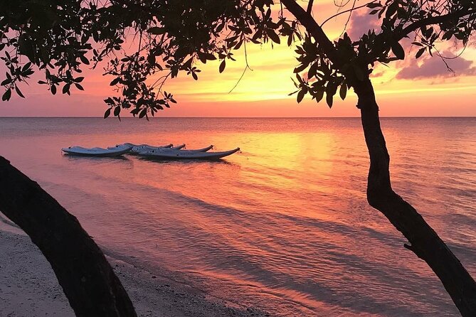 Mangroves Paddling Tour and Sunset - Included Amenities