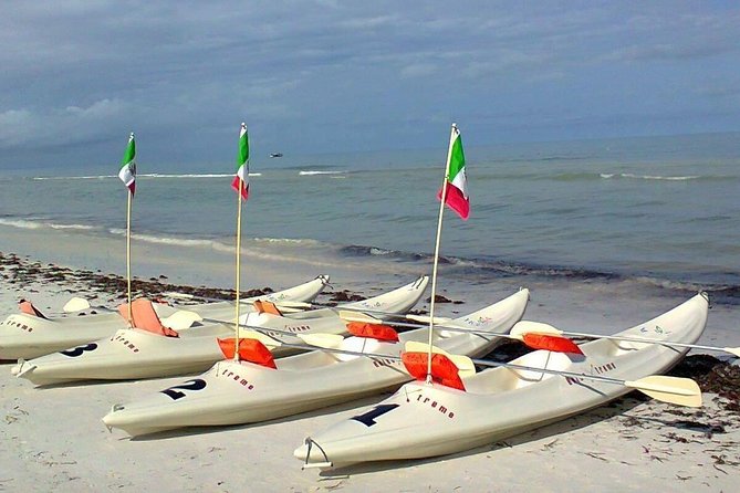 Mangroves Paddling Tour - Meeting Information