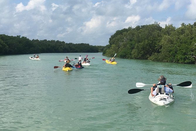 Mangroves Paddling Tour - Accessibility