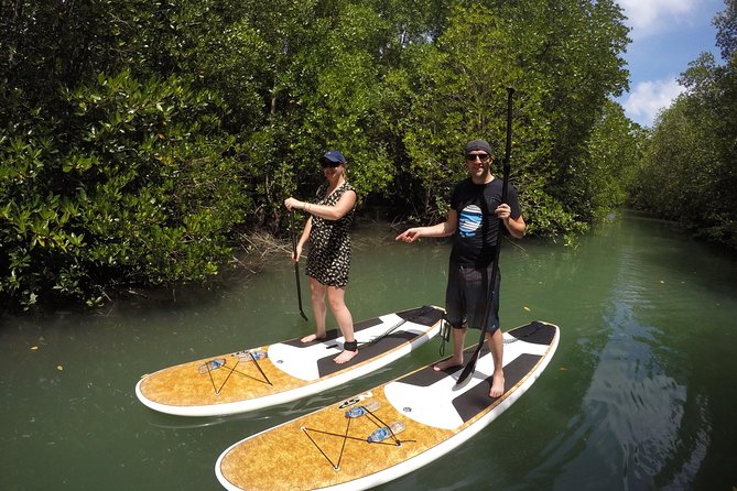 Mangroves SUP Tour Phuket - Activity Description