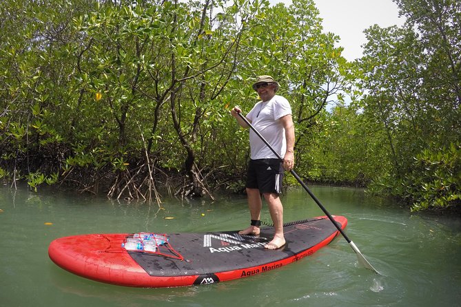 Mangroves SUP Tour Phuket - Tour Highlights