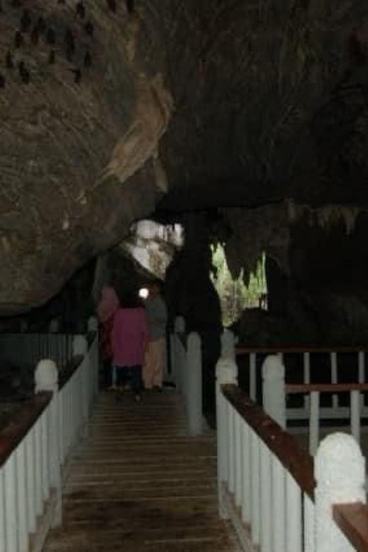 Mangrovetour 888 in Langkawi: Estimated 1 Hour (Private) - Key Points