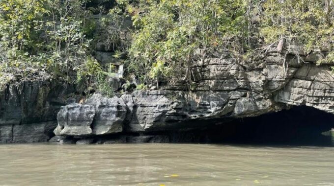 Mangrovetour Sharing Package - Lunch Include in Langkawi - Included and Optional Activities