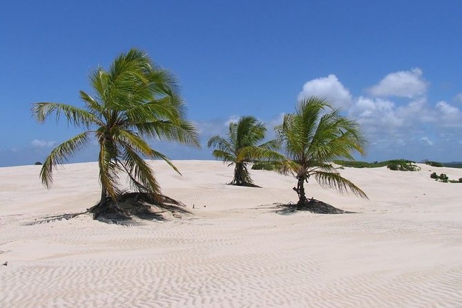 Mangue Seco Day Trip: Boat Ride, Sand Dunes and Swimming - Meeting and Pickup Details