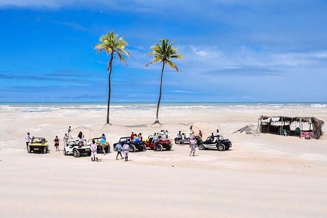 Mangue Seco Day Trip: Boat Ride, Sand Dunes and Swimming - What to Bring and Optional Activities