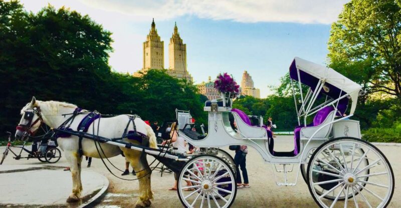 Manhattan: VIP Private Horse Carriage Ride in Central Park - Highlights of the Tour