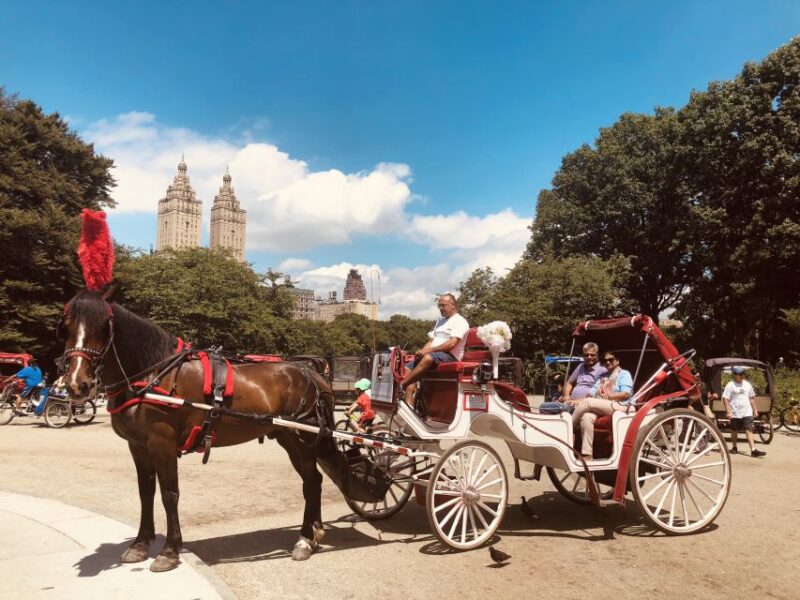 Manhattan: VIP Private Horse Carriage Ride in Central Park - Booking Information