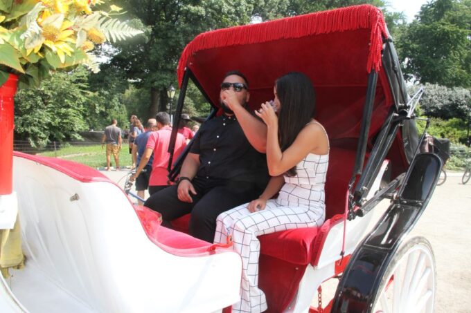 Manhattan: VIP Private Horse Carriage Ride in Central Park - Explore Central Parks Landmarks