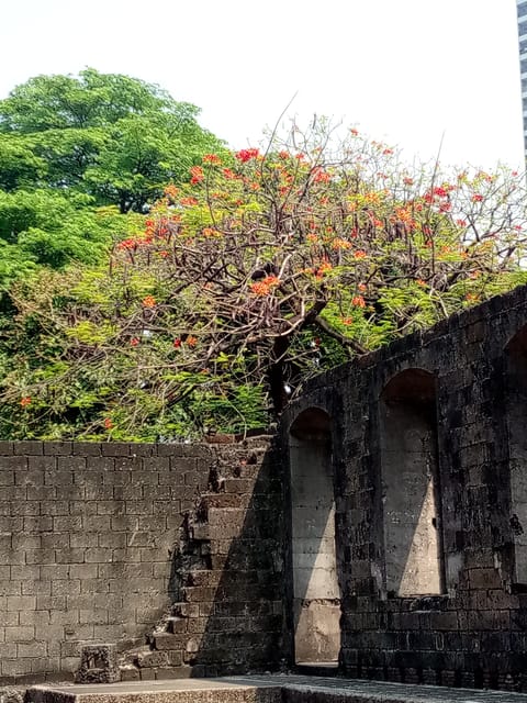 Manila: Intramuros Rev Walk - Stories of Courage and Conflict