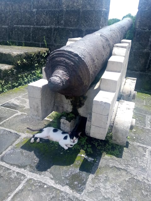 Manila: Intramuros Revolution Guided Walking Tour - Tour Highlights