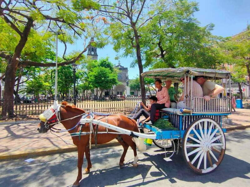 Manila: Rich History of Intramuros Private Tour - A Deep Dive into Manila’s Intramuros Experience