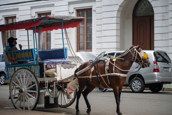 Manila: Sightseeing and Food Walking Tour With Tastings - Customer Reviews