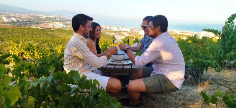Manilva: Nilva Vineyard, Wine Tasting & Tapas Guided Tour - Experience Highlights