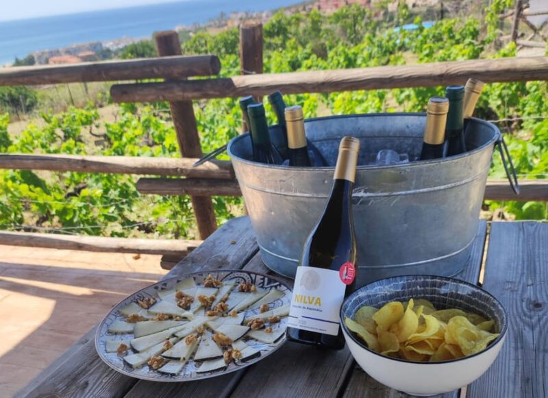 Manilva: Nilva Vineyard, Wine Tasting & Tapas Guided Tour - Important Information and Logistics