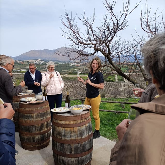 Manilva: Nilva Vineyard, Wine Tasting & Tapas Guided Tour - Exploring the Nilva Winery and Wine Production