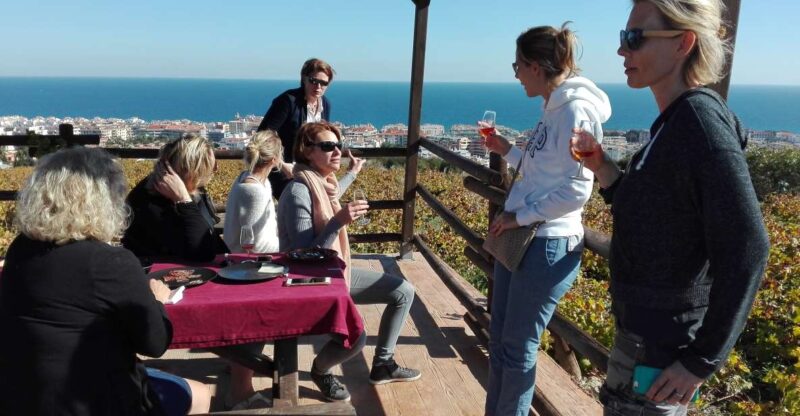 Manilva: Nilva Wine Experience - Wine & Tapas - Wine and Vineyard Details