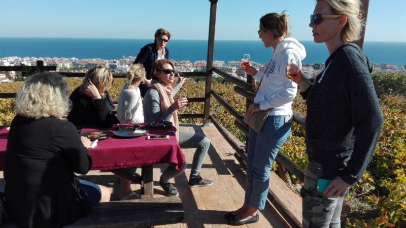 Manilva: Nilva Wine Experience - Wine & Tapas - Booking Information