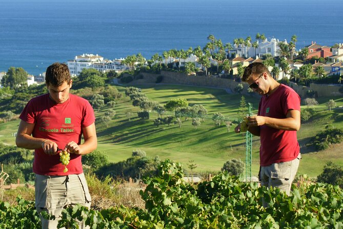Manilva Oceanfront Wine Experience in the Marbella Area - Meeting and Pickup Details