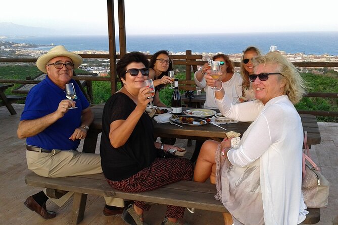 Manilva Oceanfront Wine Experience in the Marbella Area - Snacks and Wines Offered