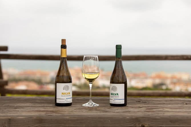 Manilva Oceanfront Wine Experience in the Marbella Area - Dietary Restrictions and Allergies
