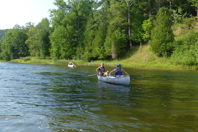 Manistee River Canoeing Day Tour - Key Points