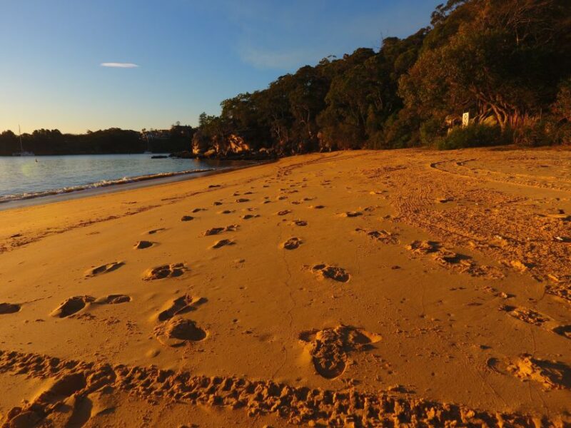 Manly: 4-Hour Double Kayak Hire for 2 People - Key Points