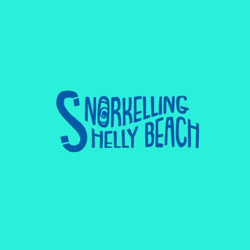 Manly Beach Guided Snorkeling Tours - The Experience in Detail