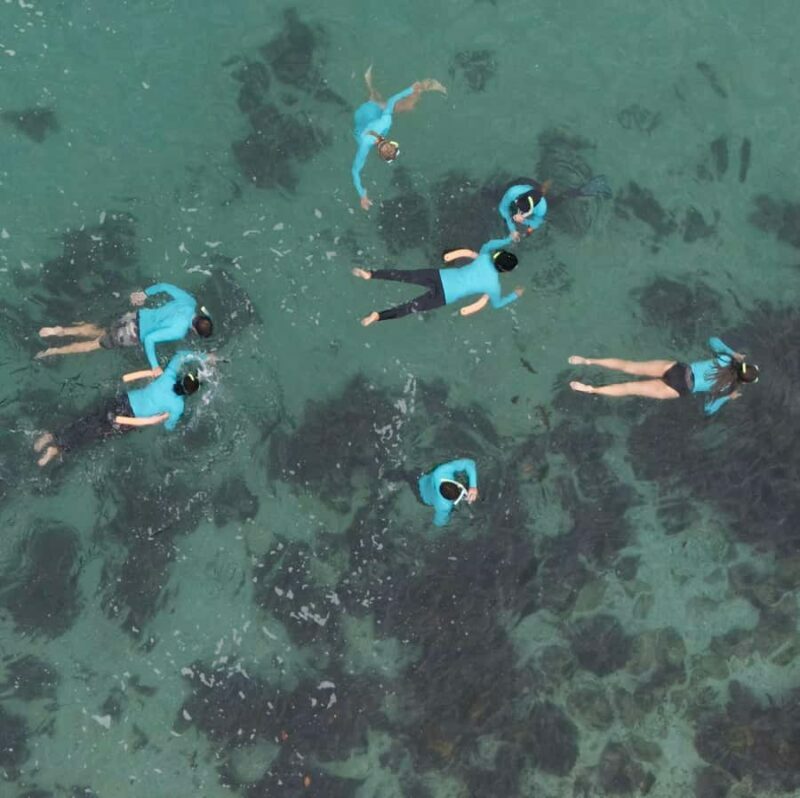 Manly Beach Guided Snorkeling Tours - The Sum Up