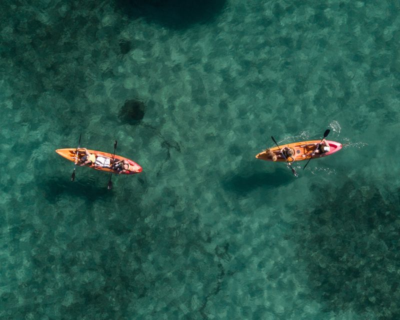 Manly: Mini Kayak Tour on Sydneys North Harbour - Key Points