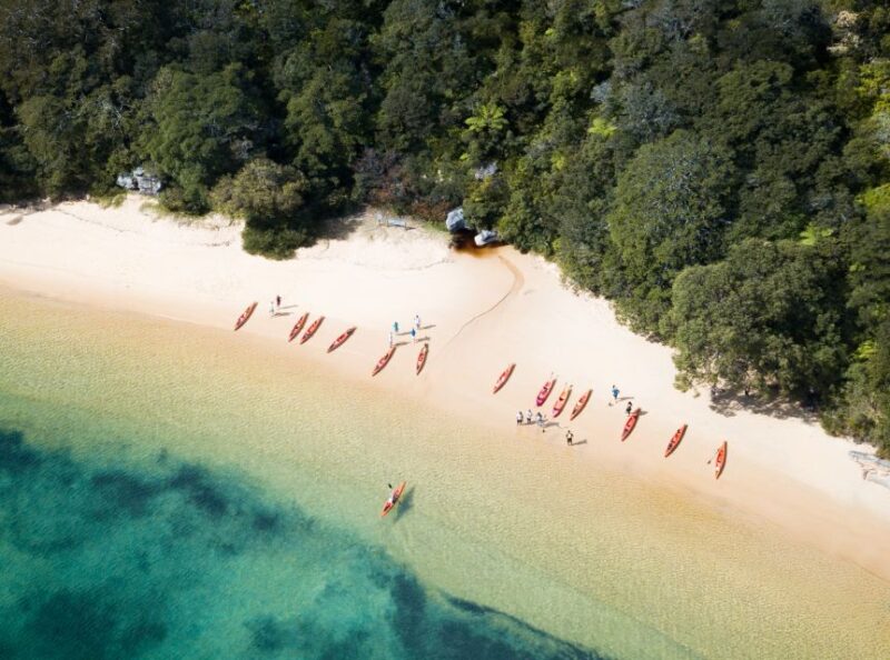 Manly: Mini Kayak Tour on Sydneys North Harbour - Itinerary and Activities