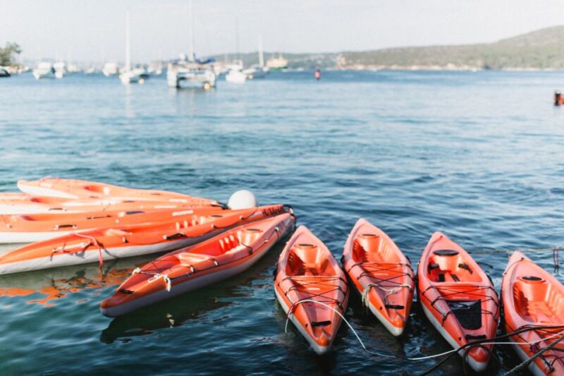 Manly: Mini Kayak Tour on Sydneys North Harbour - Inclusion Details