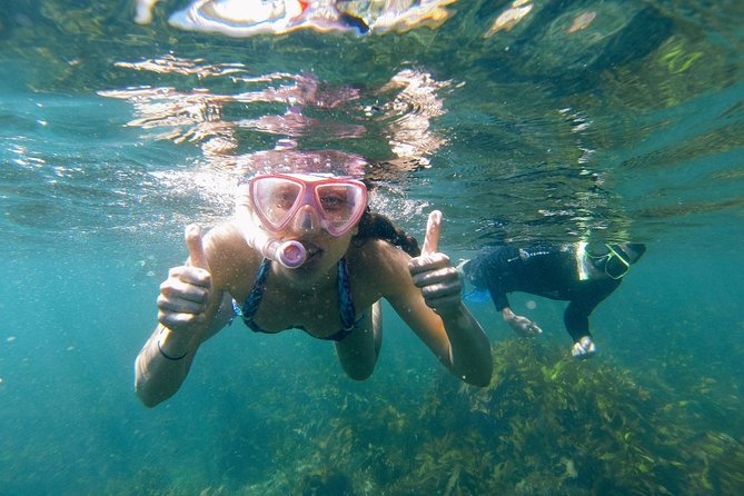 Manly Snorkel Trip and Nature Walk With Local Guide - Key Points